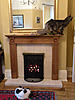 Click image for larger version. 

Name:	Monty Mantelpiece5.jpg 
Views:	32 
Size:	93.5 KB 
ID:	1384