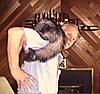 Daddy's Boy-anastasia-playing-terrys-shoulder.jpg