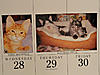 My kitties made it to the calendar-dsc03306.jpg