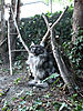 Home Made Cat Playground-small-monty-wigwam2.jpg