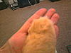 Paws for thought-photo0946.jpg