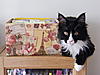 Winston likes to help me with my Postcrossing Hobby-winston3.jpg