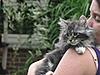 We have Babies-cats-128.jpg