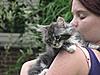 We have Babies-cats-131.jpg