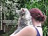 We have Babies-cats-140.jpg