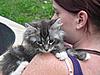 We have Babies-cats-119.jpg