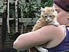 We have Babies-cats-145.jpg