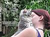 We have Babies-cats-139.jpg