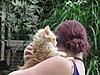 We have Babies-cats-151.jpg