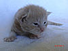 New arrival-mambo-day16.jpg