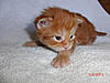 New arrival-tango-day16.jpg