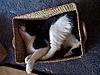 How to sleep in a box-image6.jpg