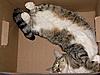 How to sleep in a box-image16-2-.jpg