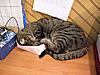 How to sleep in a box-image23-2-.jpg