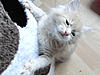 New arrival-lambada-day41.jpg