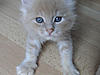 New arrival-mambo-day41.jpg