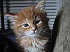 New arrival-tango-day41.jpg