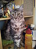 Rasputin is 1 today-2011-11-11-13.47.41.jpg