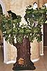 Hidden Hollow Cat tree-100_2350-2.jpg