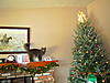 Christmas Trees, Decorations and Presents-dscn1378.jpg