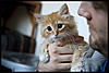 More cute pics - Kitten Visit-dsc_0851.jpg