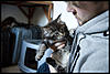 More cute pics - Kitten Visit-dsc_0868.jpg