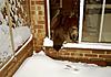 Ruby's first snowtime....-100_0585.jpg