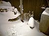 Ruby's first snowtime....-100_0596.jpg