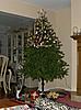 Maine coons and Christmas + Marshall update-decorating-2012-d.jpg