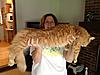 Fat cat!!! What does yours weigh?-photo-147-.jpg